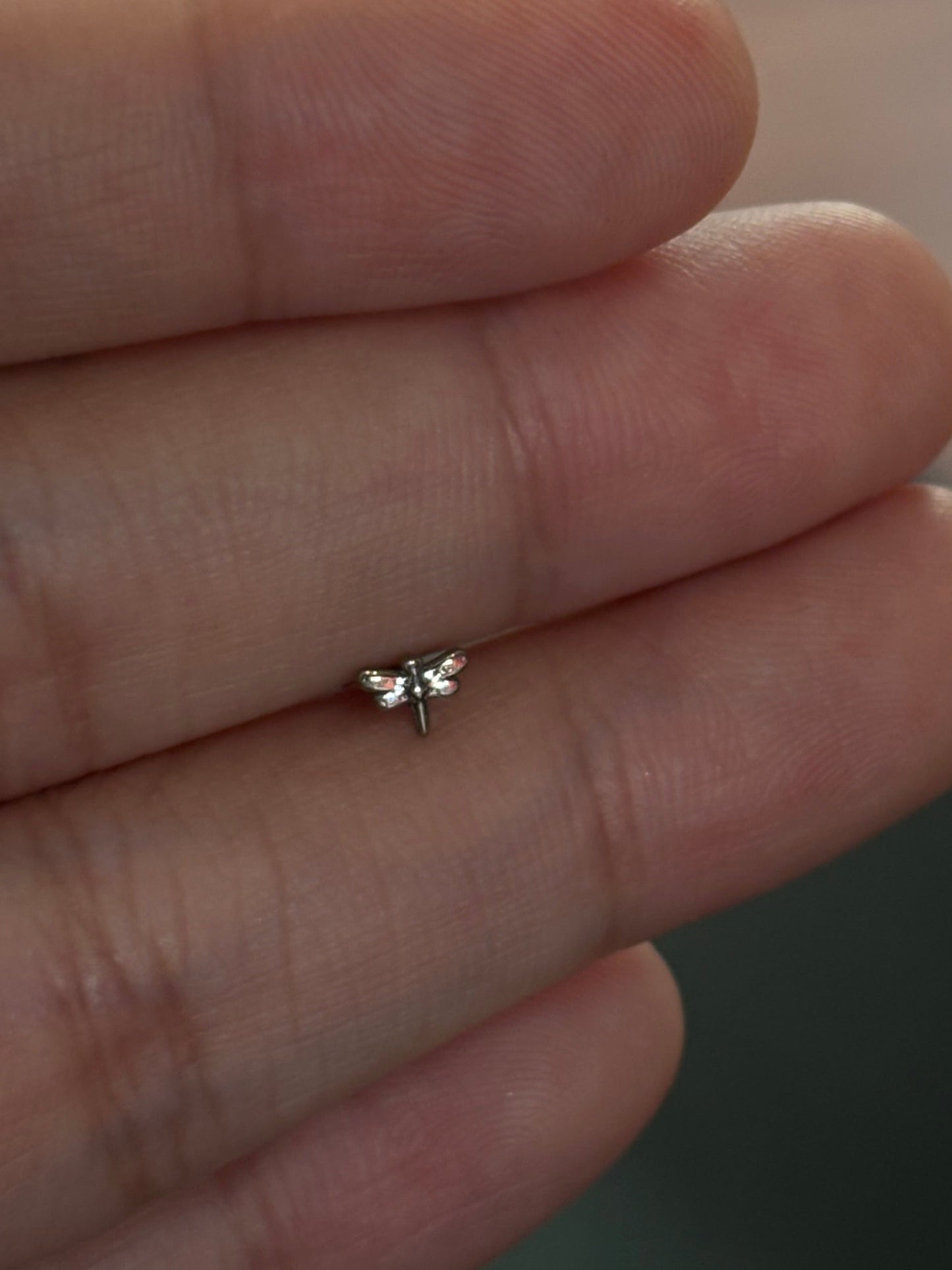 Dragonfly by Akimi • Implant Grade Titanium