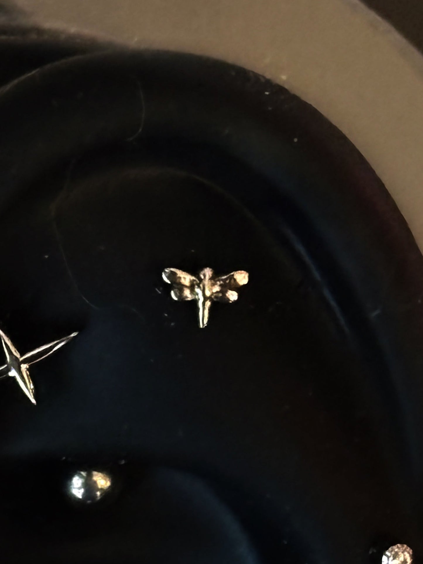 Dragonfly by Akimi • Implant Grade Titanium